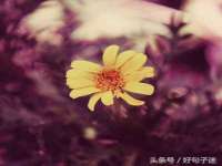 海口禾禾香坊贸易有限公司