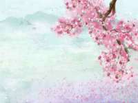 海口禾禾香坊贸易有限公司