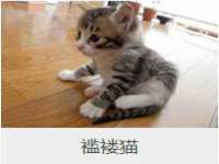海口禾禾香坊贸易有限公司
