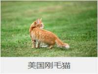 海口禾禾香坊贸易有限公司