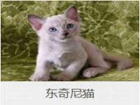 海口禾禾香坊贸易有限公司