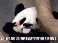 海口禾禾香坊贸易有限公司