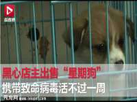 海口禾禾香坊贸易有限公司