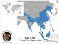 海口禾禾香坊贸易有限公司