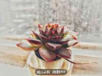 海口禾禾香坊贸易有限公司