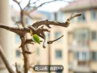 海口禾禾香坊贸易有限公司