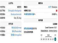 海口禾禾香坊贸易有限公司