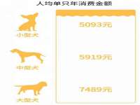 海口禾禾香坊贸易有限公司