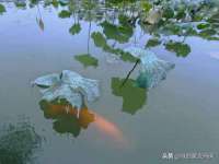海口禾禾香坊贸易有限公司