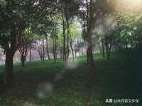 海口禾禾香坊贸易有限公司