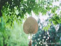 海口禾禾香坊贸易有限公司