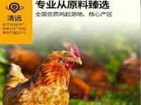 海口禾禾香坊贸易有限公司