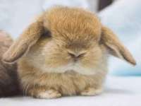 海口禾禾香坊贸易有限公司