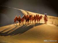 海口禾禾香坊贸易有限公司