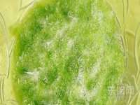 海口禾禾香坊贸易有限公司