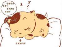 海口禾禾香坊贸易有限公司