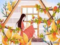 海口禾禾香坊贸易有限公司