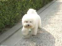 海口禾禾香坊贸易有限公司