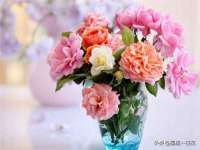 海口禾禾香坊贸易有限公司