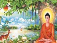 海口禾禾香坊贸易有限公司