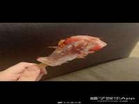 海口禾禾香坊贸易有限公司